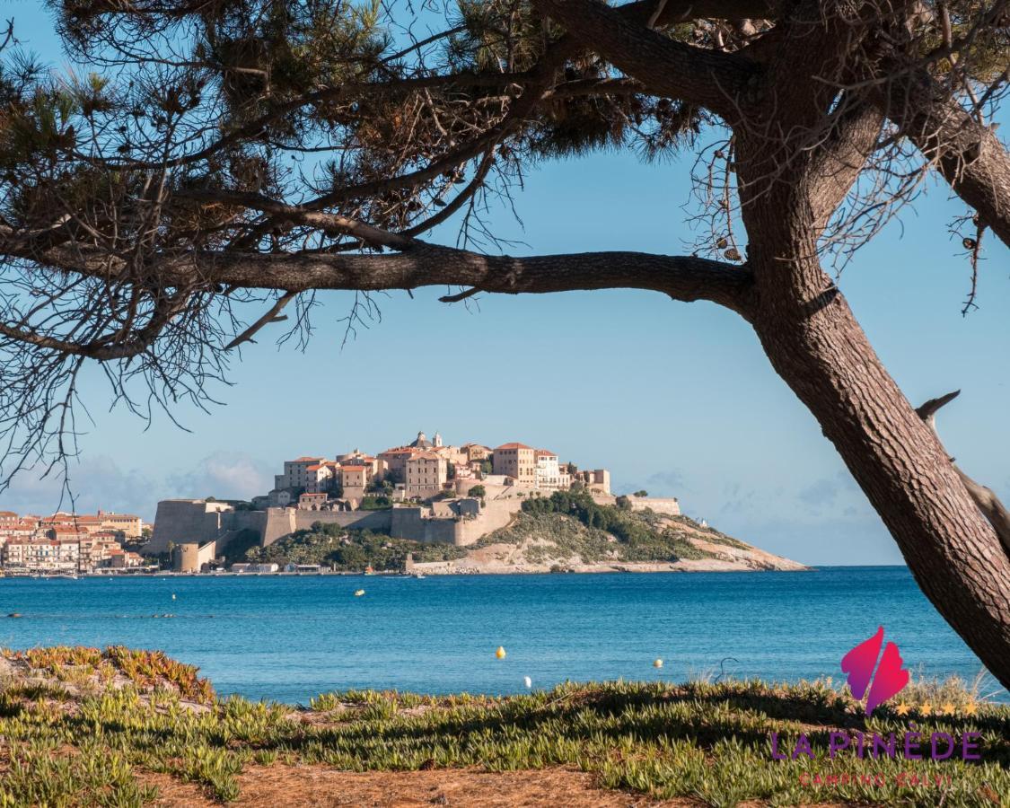 Camping La Pinède Calvi  Esterno foto