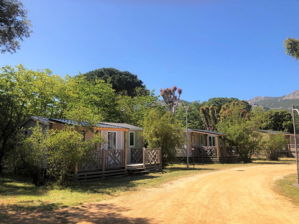 Camping La Pinède Calvi  Esterno foto