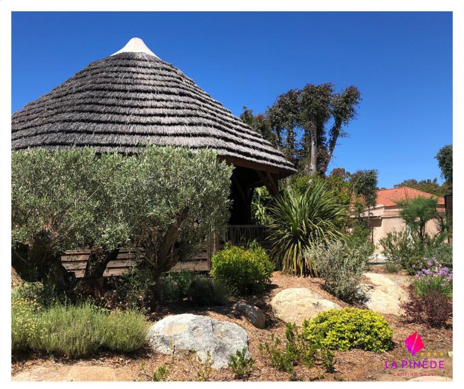 Camping La Pinède Calvi  Esterno foto