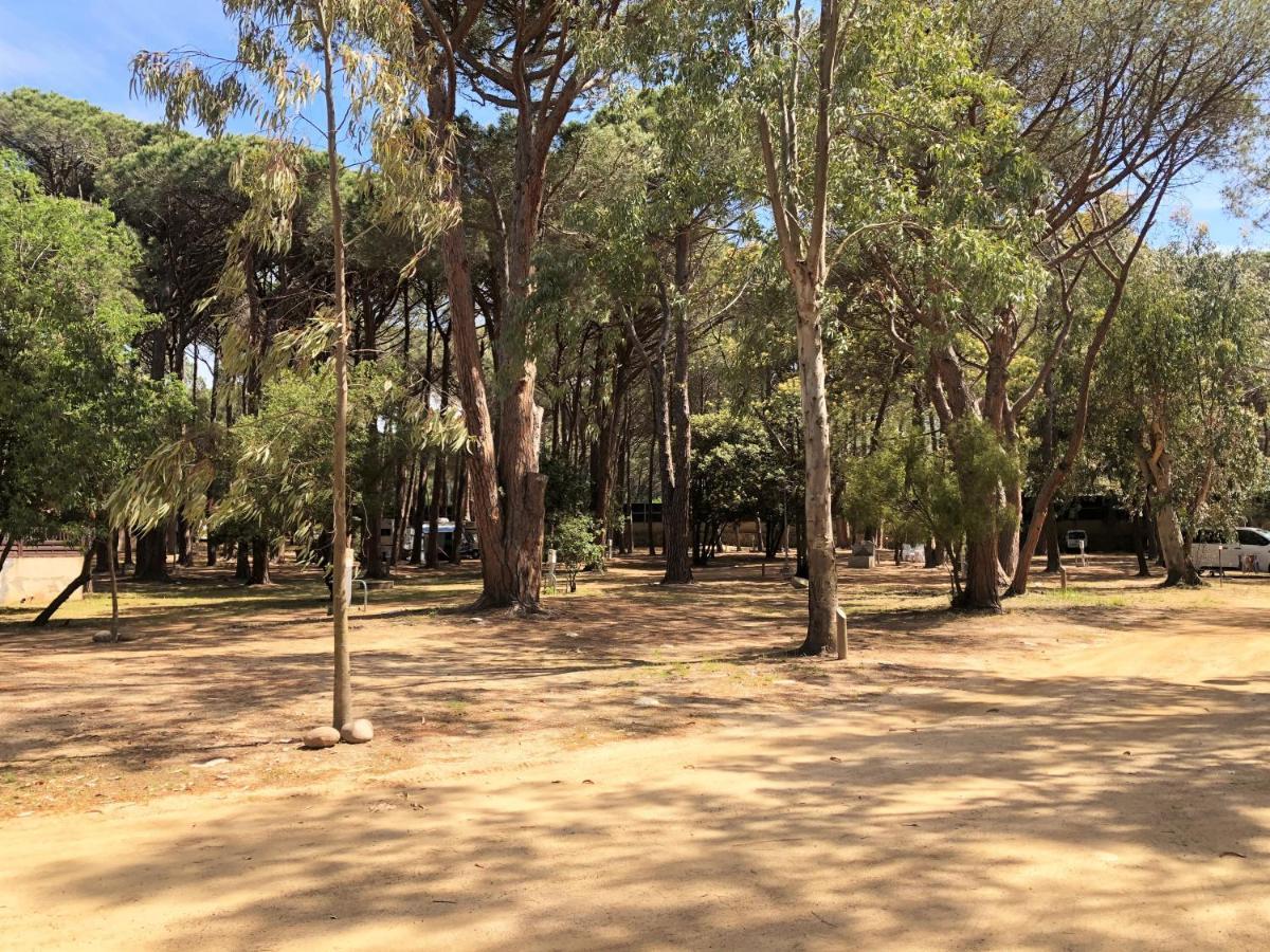 Camping La Pinède Calvi  Esterno foto