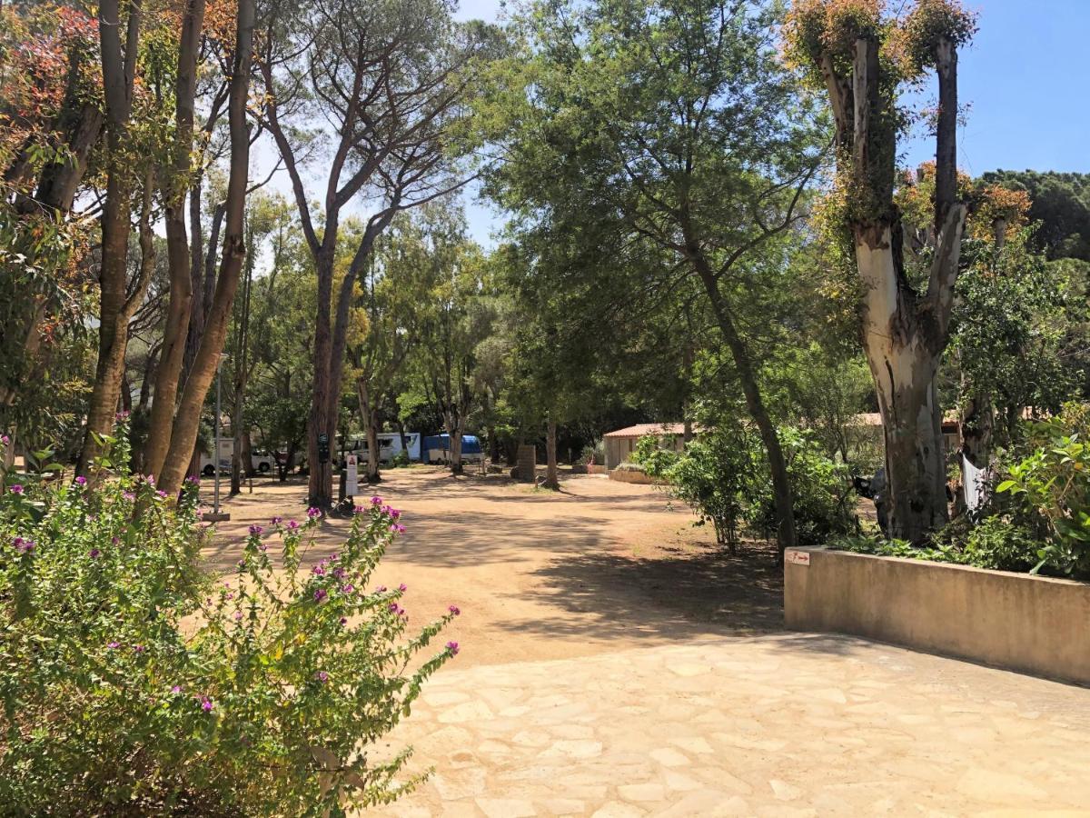 Camping La Pinède Calvi  Esterno foto
